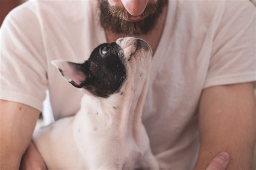 How the ‘Love Hormone’ Oxytocin Bonds Humans and Dogs