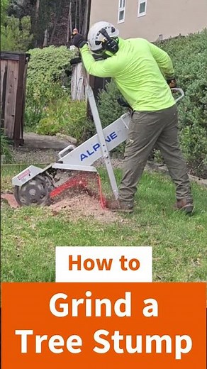 How to Remove a Small Tree Stump (Fast!)
