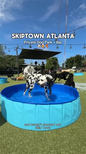 Sandra Macedo & Ryder on Instagram: "Welcome to @skiptown.atl 💜🐶 If you’re a dog owner in Atlanta you have to check out Skiptown! They have so much to offer for both humans and dogs: 🍺 Bar ☕️ Coffee Bar 🍕 Food 🎟️ Weekly and monthly events such as trivia, breed meet-ups, and more! They also have locations in Charlotte and Denver! #SkiptownPartner #Dog #Dogs #Atlanta #dogsofatlanta #Georgia #AtlantaGeorgia"