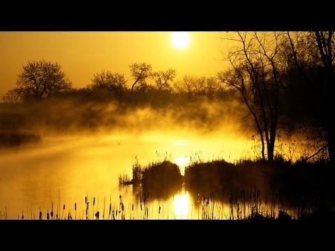 C. Monteverdi - Chiome d´ oro - Gamba, Harpsichord, Violin