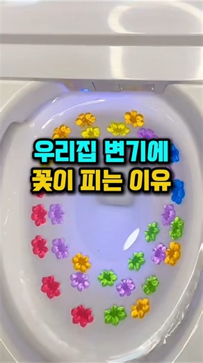 냄새ㆍ물때 한번에 잡는 젤리 꽃 변기 클리너