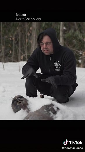 Educational simulation, not real #deathscience #crimescene #learnontiktok #truecrime