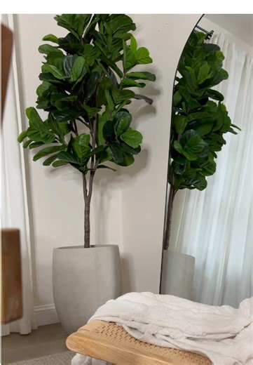 Clean unboxing. White walls fresh green = always works 🌿 Our fiddle leaf fig is getting an upgrade — new planter version coming soon. #realead #homedecor #plantdecor #minimalhome #interiorinspo
