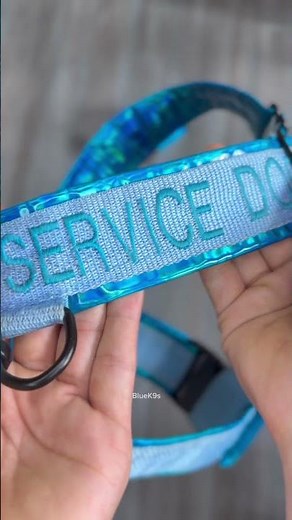Types of Service Dog Harnesses #workingdog #servicedog #assistancedog #dog #dogs #dogharness