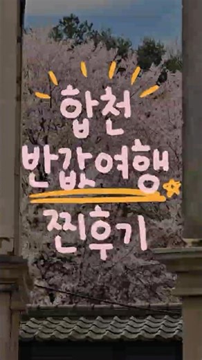 요즘 가장 핫하다는 반값여행 후기 #반값여행 #합천여행 #코스추천 #shorts