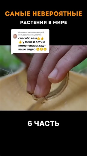 Самые невероятные растения мира – Часть 6