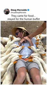 Tickle therapy | Doug Marcaida