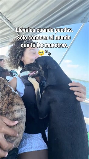 Llévalos cuando puedas 🐾❤️