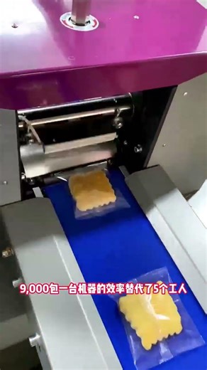 Horizontal Packaging Machine for Biscuits | Automatic Flow Wrapping Machine #packingmachine