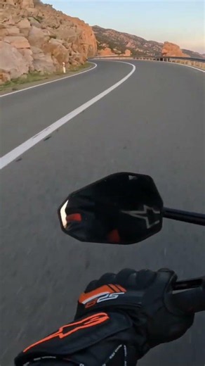 Aprilia Tuono V4 Factory