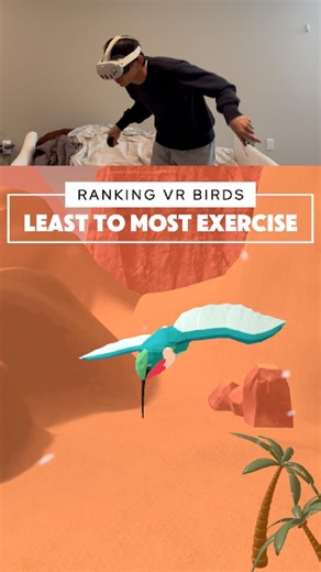 Featherfall | Ranking VR bird flying styles - each a different workout 🪽 Which one would you wanna try? Our game is Featherfall on Meta Quest so... | Instagram