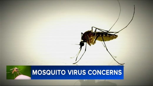 Mosquito-borne illness such as West Nile Virus discovered throughout Philadelphia region