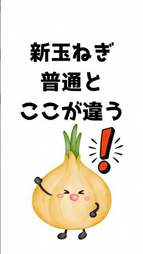 新玉ねぎと普通の玉ねぎ、何が違う？