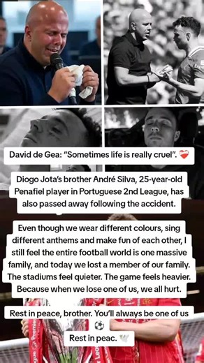 Rocky brian. on TikTok