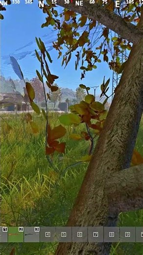 HUMMER ПОДВЕЗЛИ / The Hummer was brought in #творец #tvorec #dayz #dayzpvp #pvp #survival #gaming