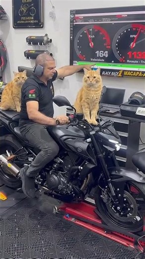 Yamaha MT-03 Top Speed😱. Top Speed Of Yamaha MT-03😱. Fastest Bike Of Yamaha In Segment😱. You Shock😱.