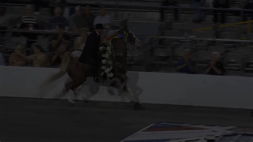 Report ad April 6 2026