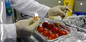 List of Documents and SOPs for Food Testing Lab