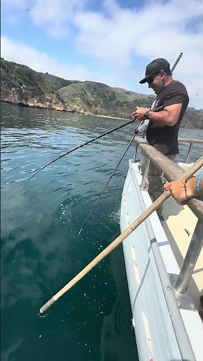 Halibut Backflip FAIL! | Deckhand vs. Acrobat Fish 🐟💥