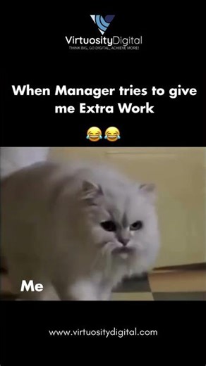 Stuart Little Meme 😂😂😂