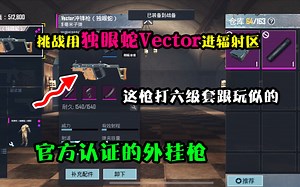 挑战独眼蛇Vector进辐射，这枪打六级套跟玩似的，官方认证外挂枪