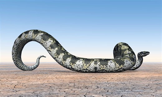 This Is the Biggest Snake Fossil Ever Discovered