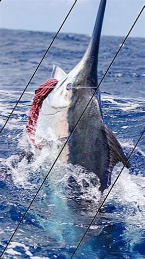 Dreamin On on Instagram: "Photography is timeless. It’s how the moments live on—long after the lines are cleared and the sun goes down."