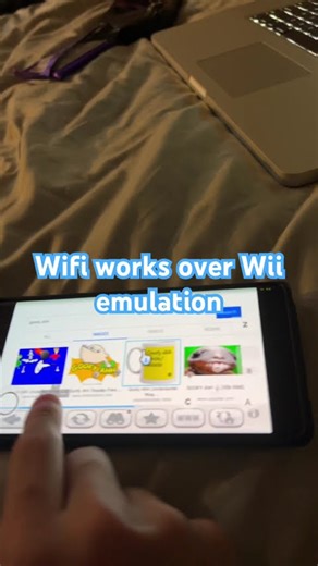 Wii emulation internet wifi demo on dolphin emulator
