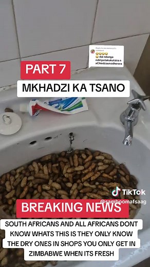Current News and Weather Updates in Zimbabwe