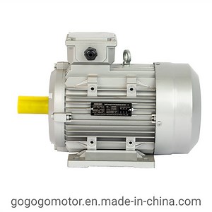 [Hot Item] Single Phase Yy Yl Asynchronous Induction AC Electric Motor