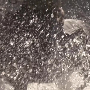 Hunting gear and apparel designed for performance, using only the highest quality products .  Rigorous product testing.  Proudly New Zealand owned and operated.  Flat rate shipping.  100% money back guarantee. | Game Gear | Facebook