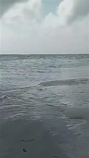 Stop. Watch. Relax. It’s Beach Time 🏖️ #shorts