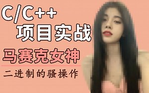 【C/C  项目实战】：揭秘PS、CAD、美图秀秀核心技术，二进制骚操作，宅男在家研究的技术，一键给女神打上马赛克！