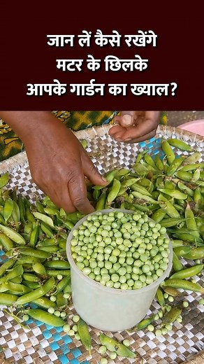 1.4K views · 33 reactions | Gaon Connection on Reels | Facebook