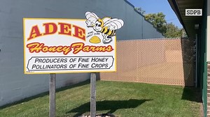 SDPB visited Adee Honey Bee Farms near Bruce, South Dakota (Home of Honey Bee Days this weekend) in 2020 to see how they keep their honey flowing and their bees thriving. It’s more than just honey — it’s a story of conservation | SDPB