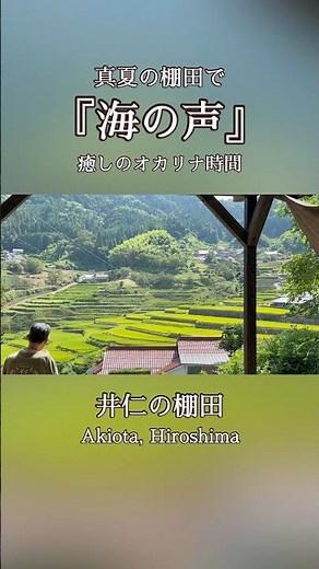 真夏の棚田で『海の声』🌾｜桐谷健太｜癒しのオカリナ時間 自然音 Healing Ocarina in Japanese Rice Terraces No Mic.