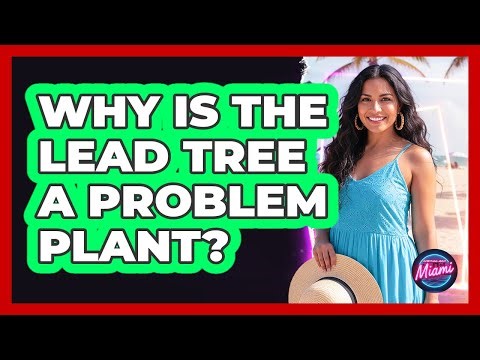 Why Is The Lead Tree A Problem Plant?