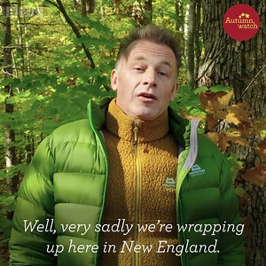 44K views · 1K reactions | Chris Packham has picked his highlights of Autumnwatch New England. What were yours? Let us know in the comments!  | BBC Springwatch | Facebook