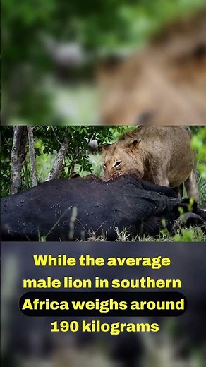 Revolutionizing Predator Behavior 🐾