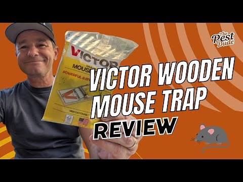Victor Wooden Mouse Trap Review: A Classic That’s Hard to Beat, According to an Exterminator!