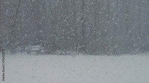 Calm Falling Snow Flakes winter. Beautiful Winter Snow Landscape. Enchanting Winter Scene in Forest With Snow Falling on Trees. Tree Pine on Background of Snowfall. Slow Motion Flakes of Snow Falling.