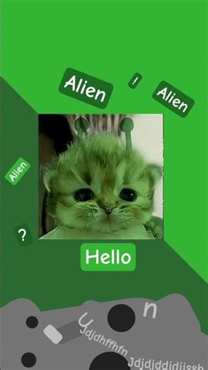 alien cat
