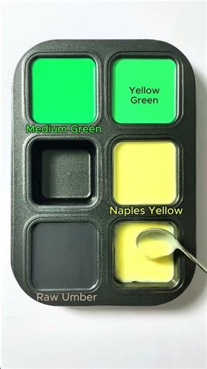 Color Guessing Challenge: Medium Green + Naples Yellow + Raw Umber #asmr #mix #colors #mixing