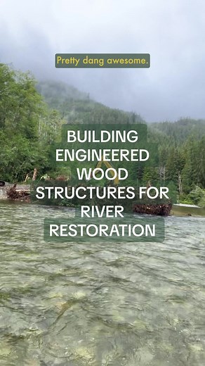 Out in hiłsyaqƛis in ƛaʔuukʷiʔatḥ ḥawiiḥ we’re building this big engineered instream wood structure from second growth logs to replicate the types of structures that would’ve been present with Oldgrowth logs prior to industrial logging. When this watershed was logged decades ago, a ton of sediment came down from landslides and inundated the river, causing it to run straighter, wider and shallower than it had historically, reducing its complexity and thus habitat for fish. We’re on this straight
