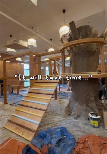 Transforming Spaces for Children's Wellness and Growth