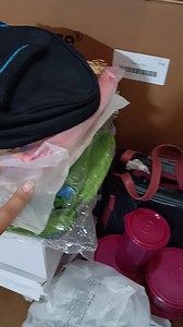 Coming live at 2:30 pm today | Creative Women Palms