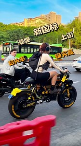 Alpha Hornet E-bike: Detachable Battery, 120km Range
