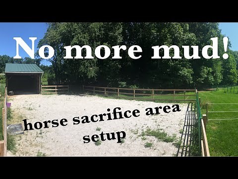 Mud-Free Horse Paddock Set Up