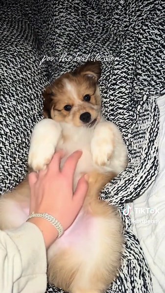 special doug💌 @James #puppylove