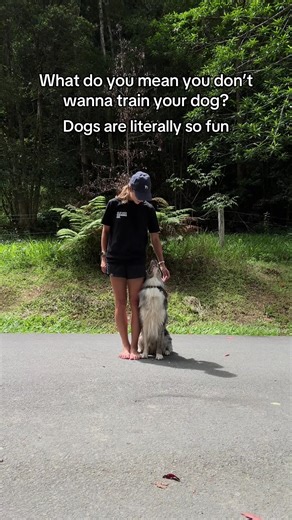 Fun Ways to Train Your Border Collie